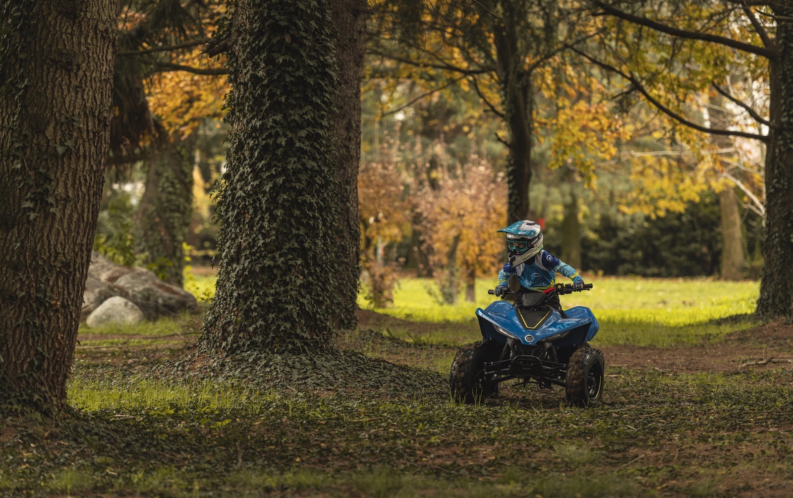 CFMOTO CFORCE 110 EFI